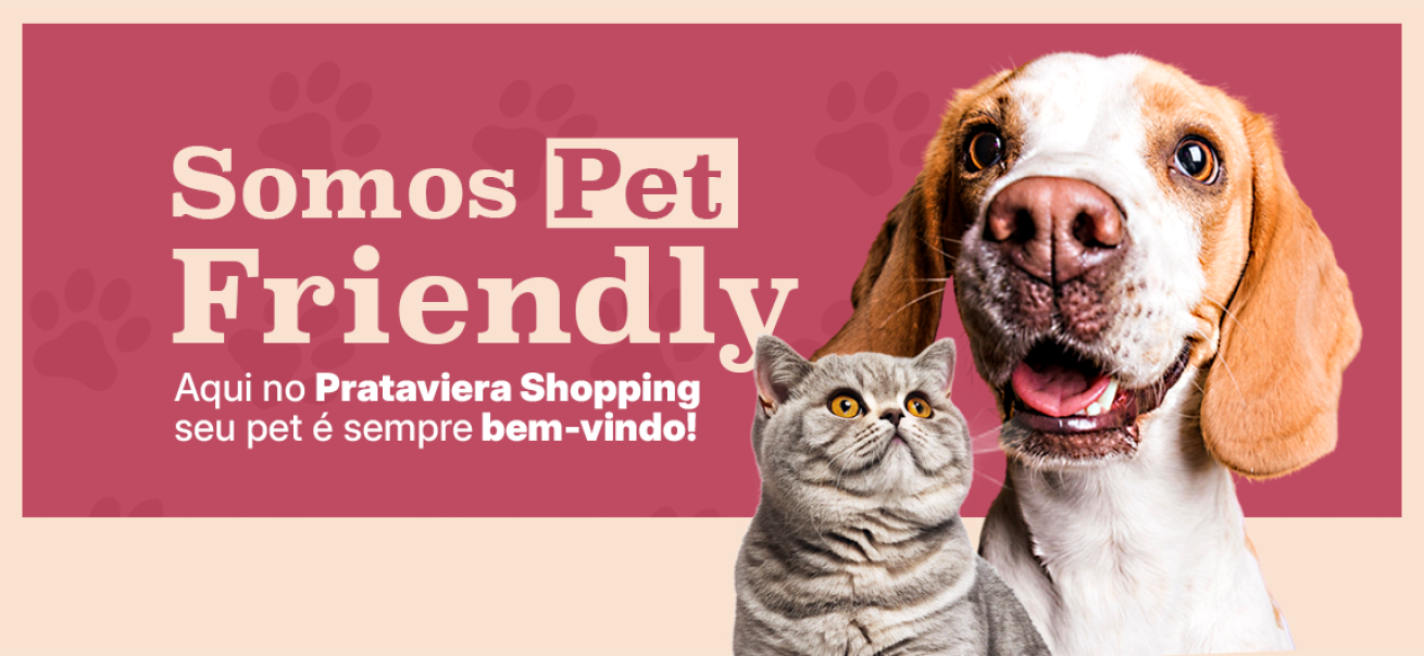 Patinhas e compras combinam sim! 